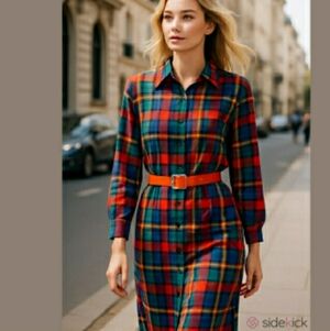 Hana Sung Colorful Plaid Long Sleeve Dress Belted Half Body Button down Size 10